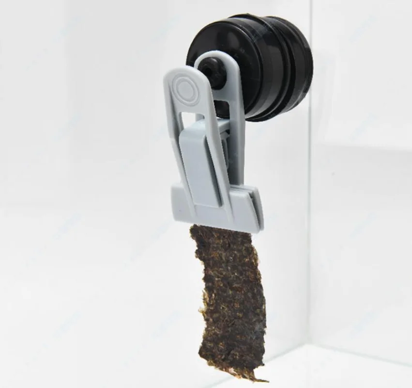 Clip per alimentazione Veggie- - Seaweed Snack recensione e prezzo