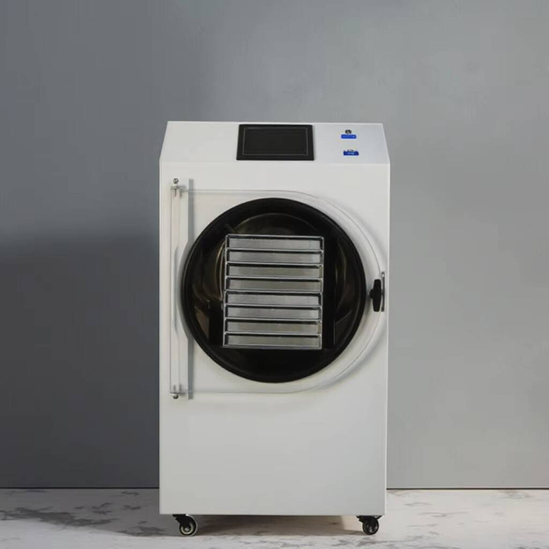 Asciugatrice automatica contro - Dried Fruit recensione e prezzo