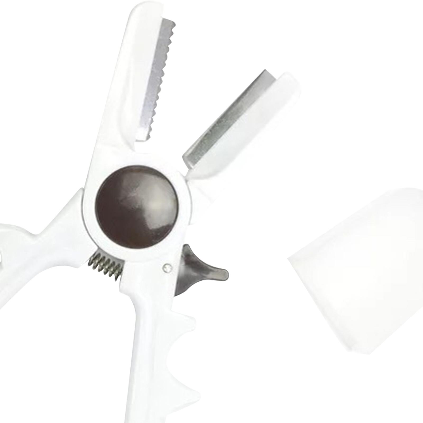 Utensile manuale per aprire le - Dried Fruit recensione e prezzo