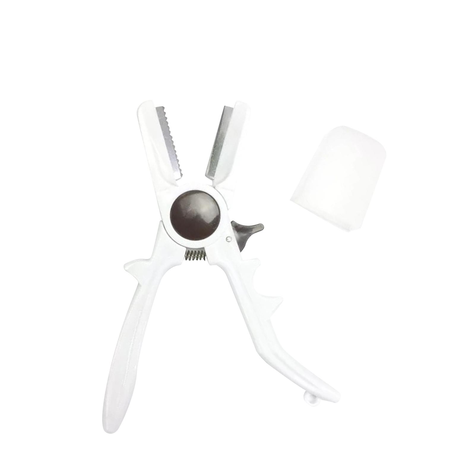 Utensile manuale per aprire le - Dried Fruit recensione e prezzo