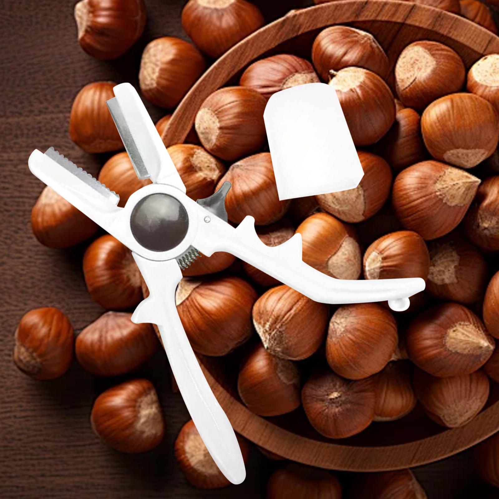 Utensile manuale per aprire le - Dried Fruit recensione e prezzo